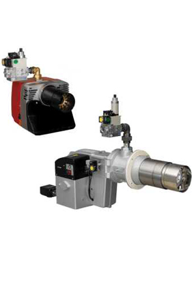 燃?xì)馊紵?jpg