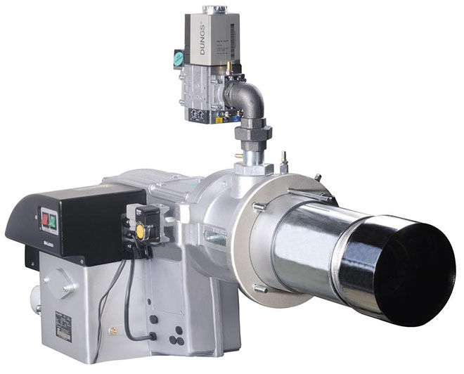 燃?xì)馊紵?jpg