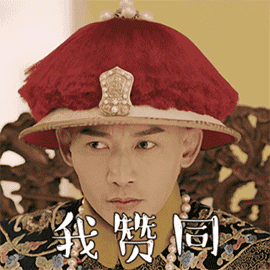 聶遠我贊同.gif